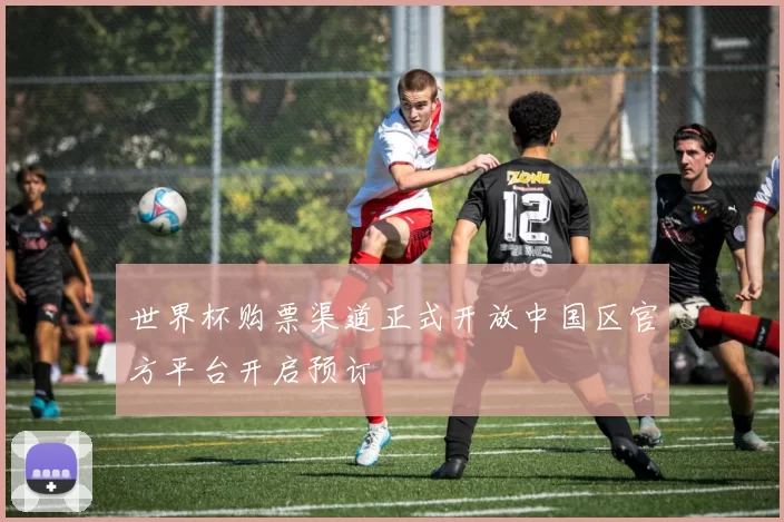 世界杯购票渠道正式开放中国区官方平台开启预订