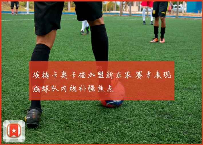 埃梅卡奥卡福加盟新东家 赛季表现成球队内线补强焦点
